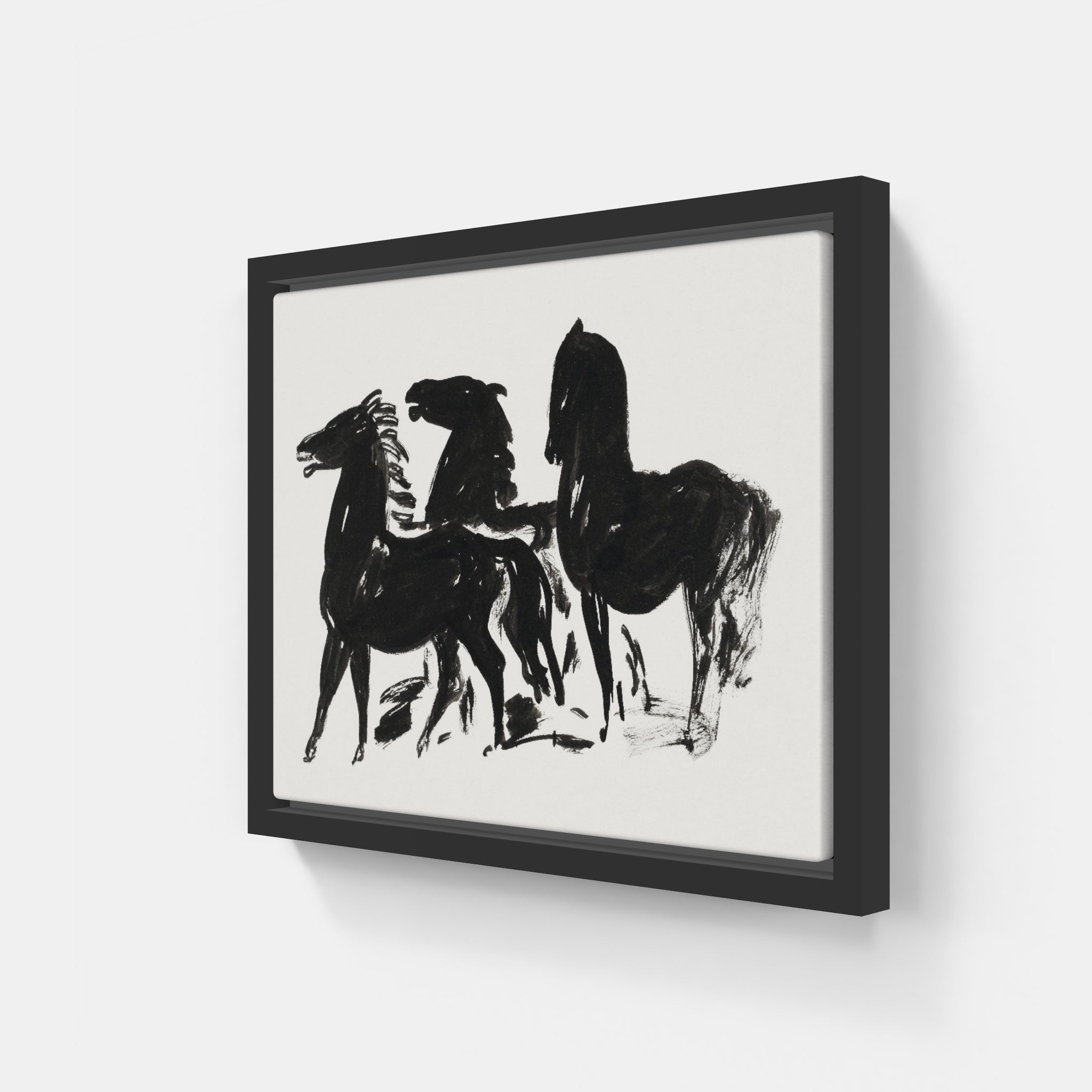 Black and White Horses
