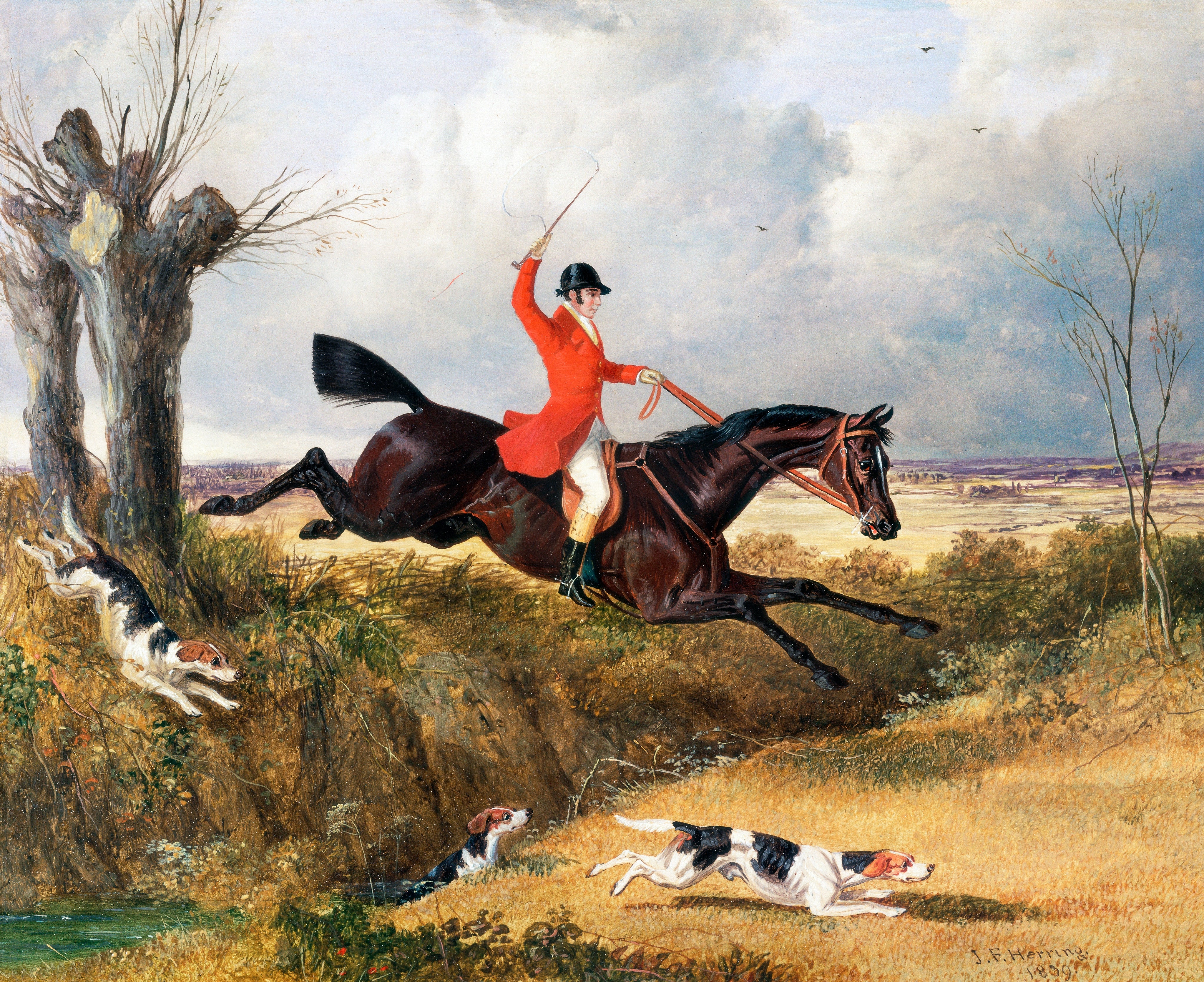 The Fox Hunt