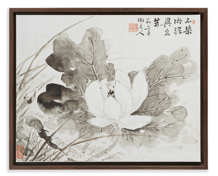 Japanese Lotus