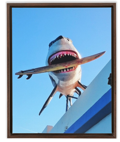 Shark Attack
