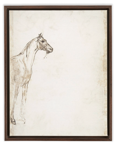 Study of A Horse v.2