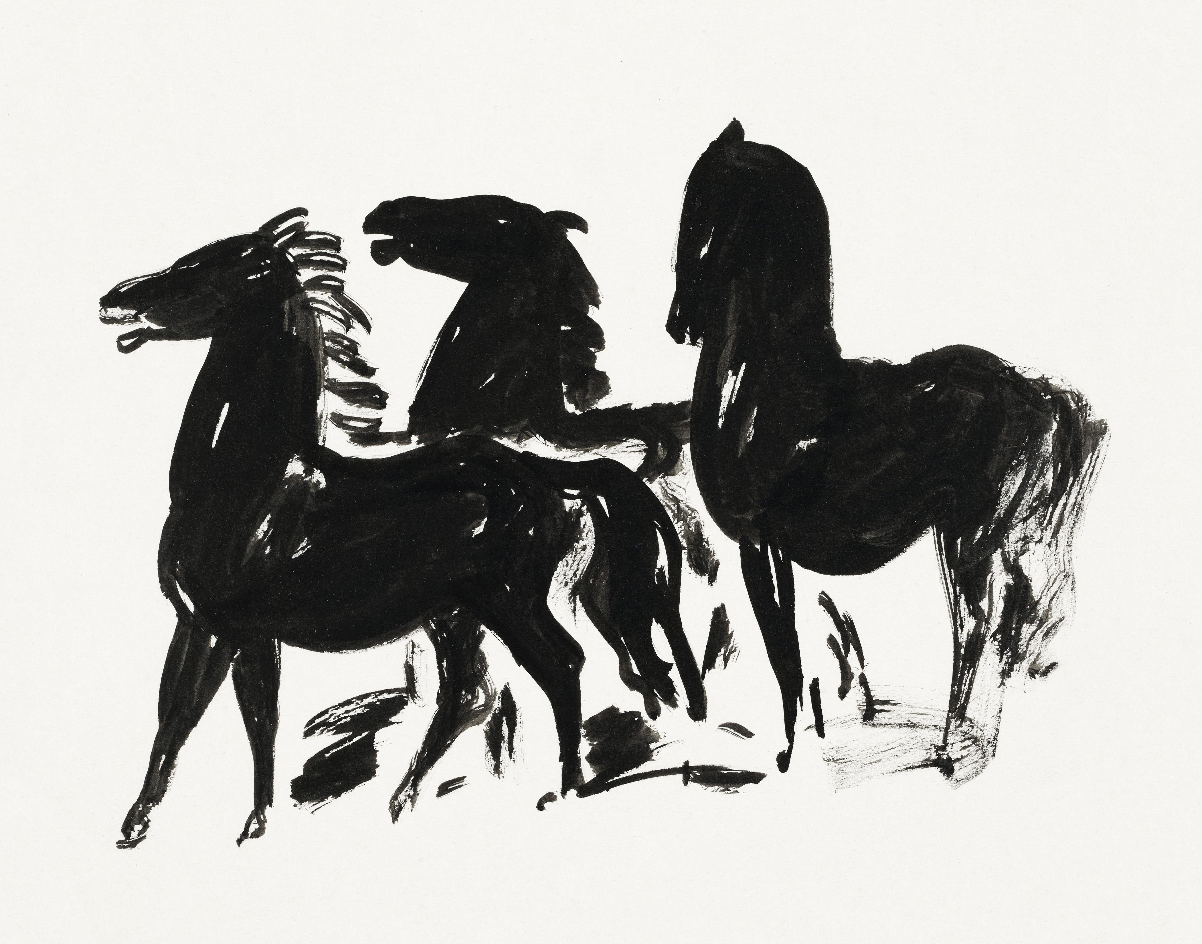 Black and White Horses