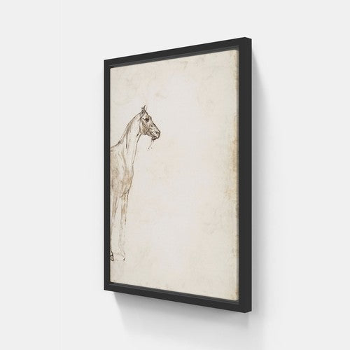 Study of A Horse v.2