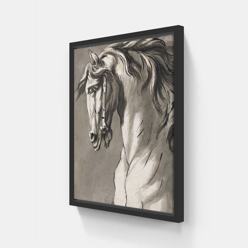Study of A Horse v.3