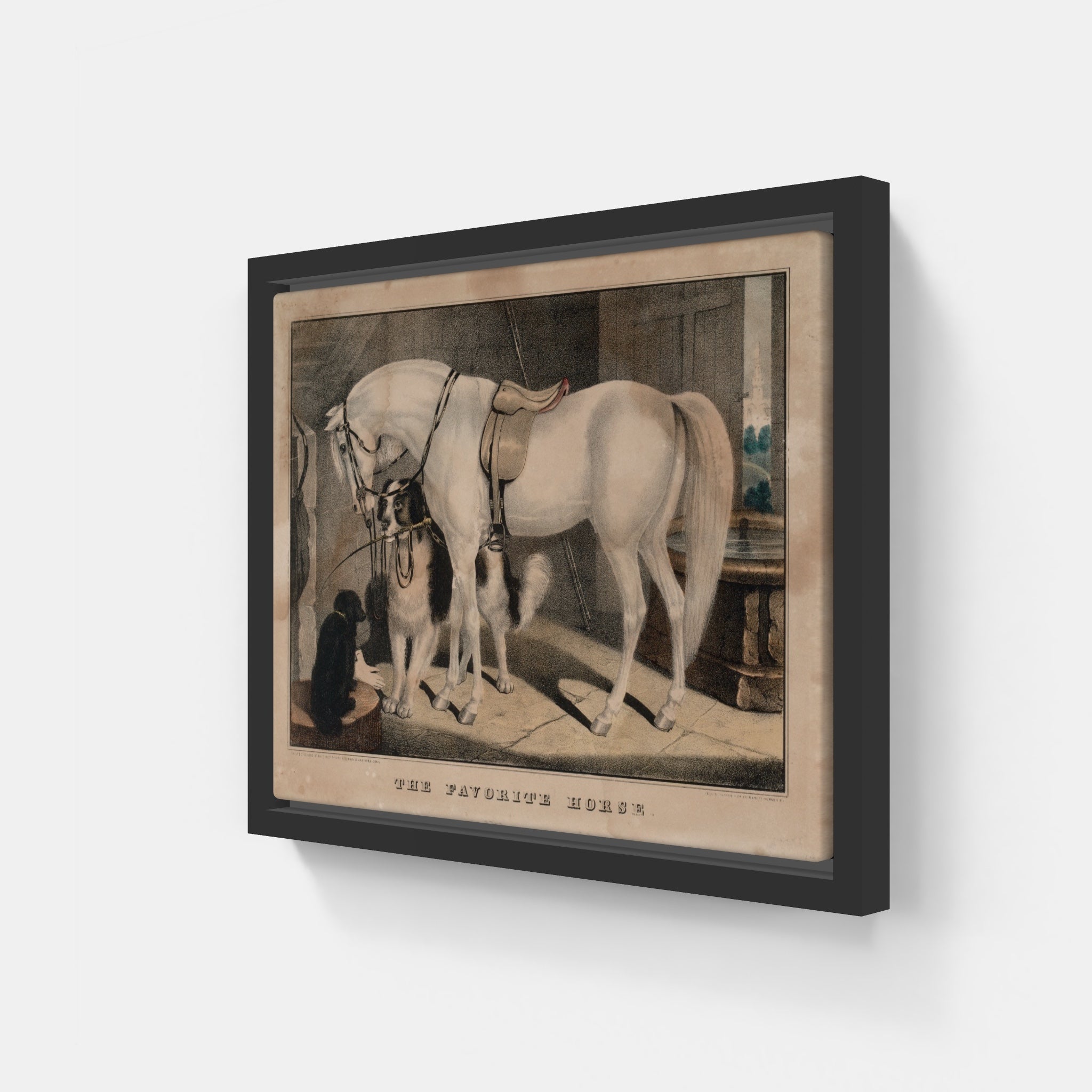 The Favorite Horse