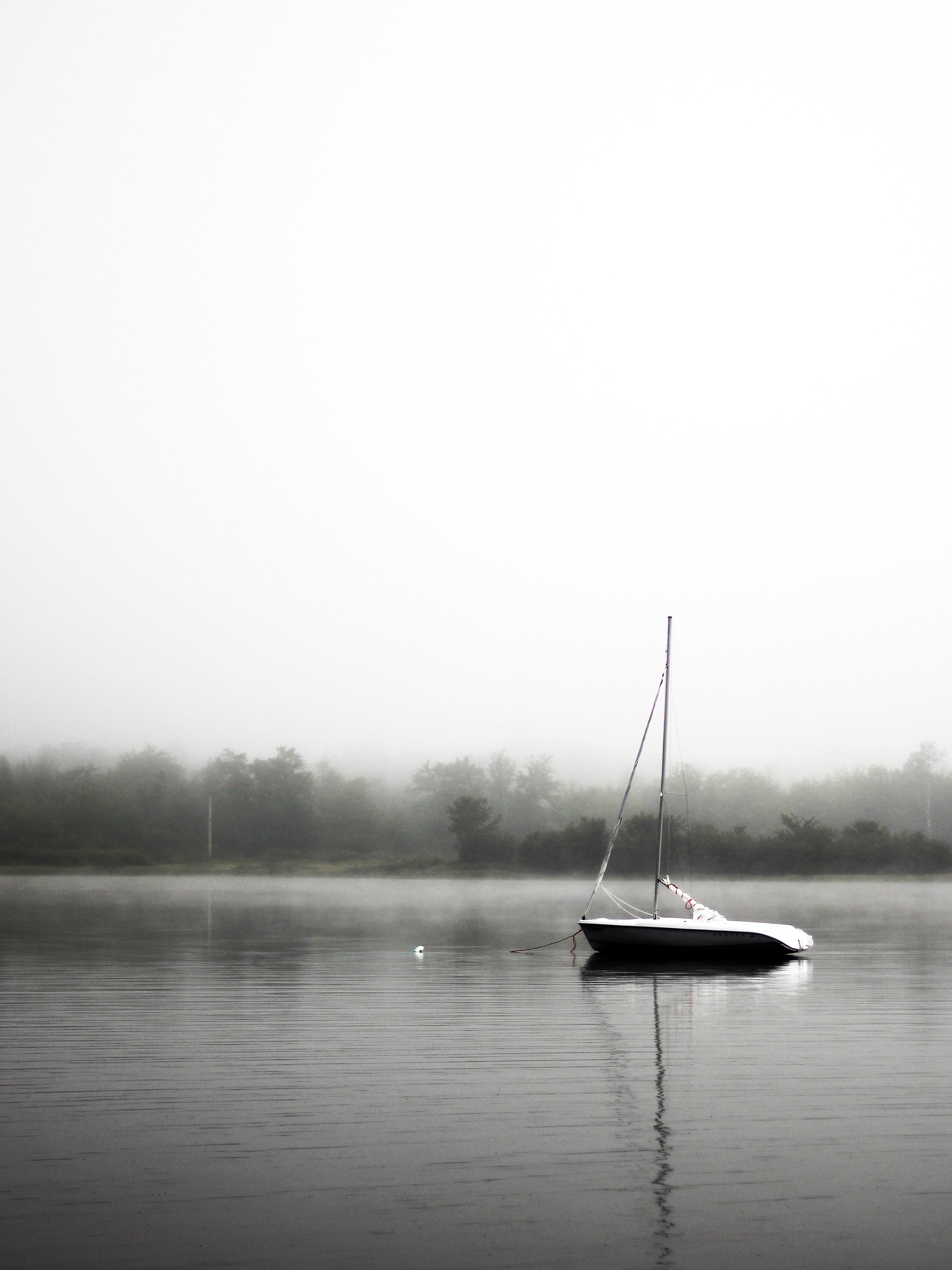 A Foggy Boat