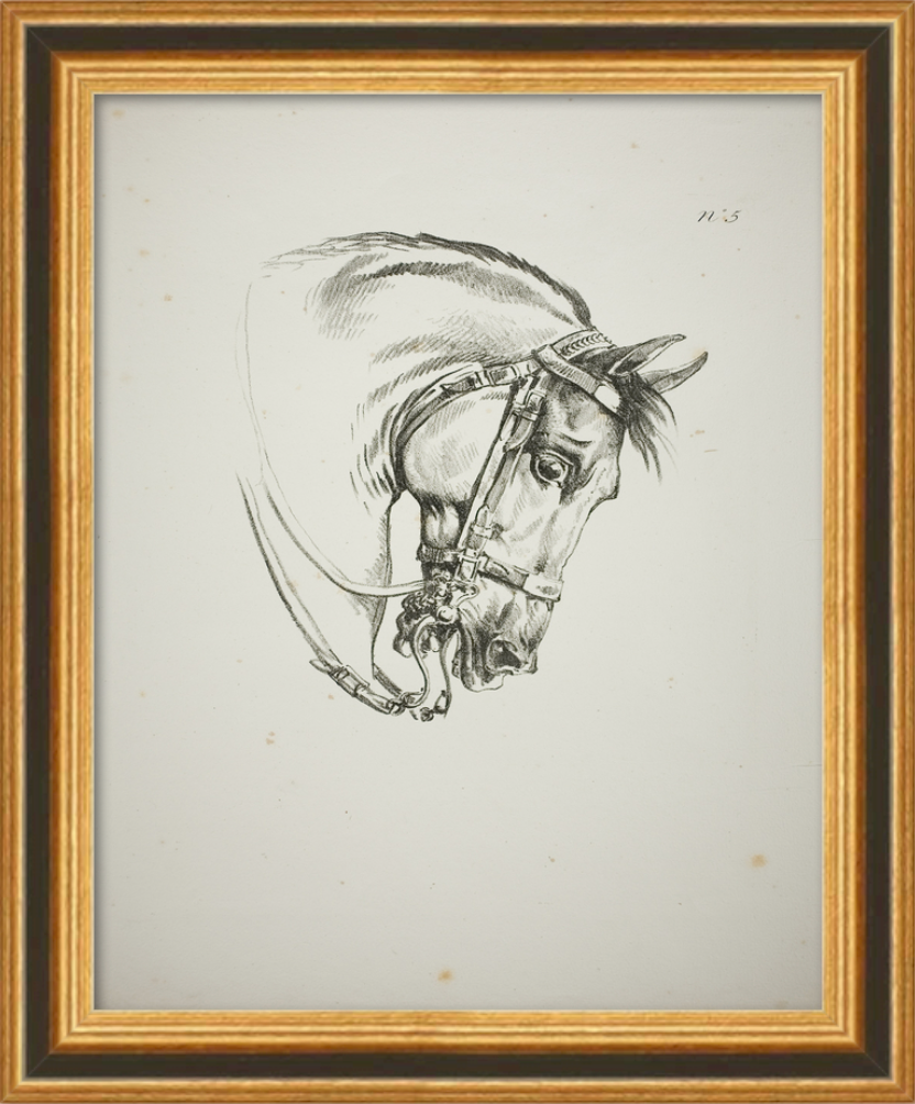 Vintage Horse Drawings (set of 2)