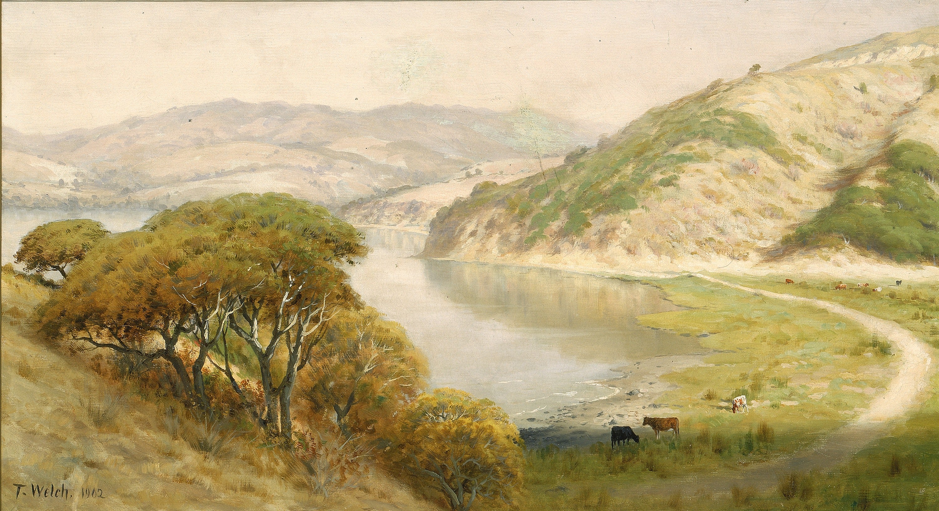 Welch Landscape